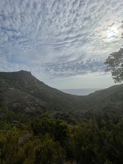 From Peak to Calanque, Discovery of Aurelle - Expérience Côte d'Azur