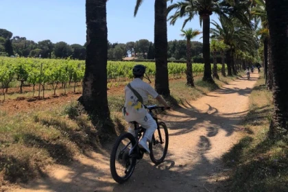 Biking wine tour in the Gulf of Saint-Tropez - Expérience Côte d'Azur