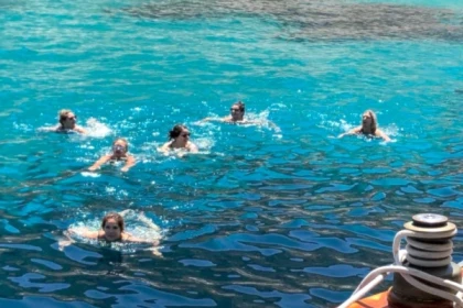 Set Sail – Half-Day Sailing Trip with Bruine Beer - Expérience Côte d'Azur