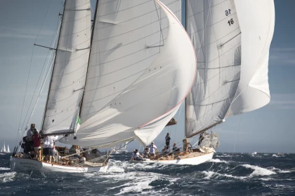 Course voiles de Saint Tropez