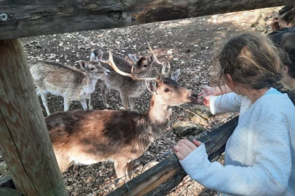 Entrée promo - Parc nature Aoubré - Coeur du Var - app.name