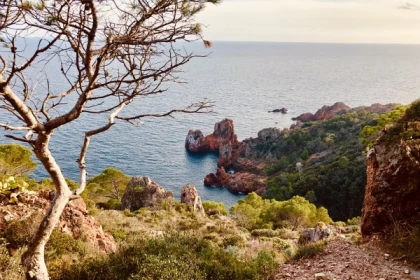 Esterel Evasion - excursions privées snorkeling - app.name