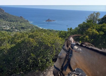 Bachelorette / Bachelor Party on Horseback with Provençal Aperitif at Dramont – Saint-Raphaël - Expérience Côte d'Azur