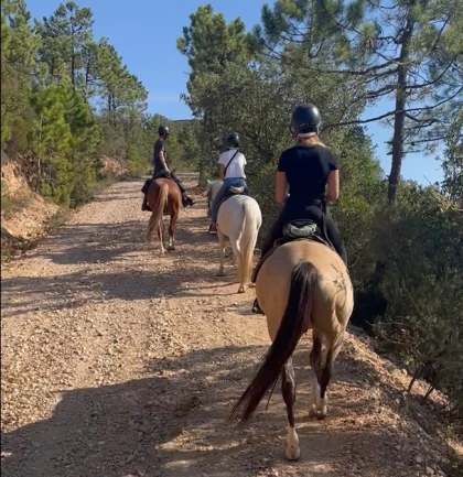 Bachelorette / Bachelor Party on Horseback with Provençal Aperitif at Dramont – Saint-Raphaël - Expérience Côte d'Azur