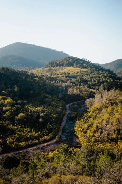 Explore the Nice hinterland by gravel bike - Expérience Côte d'Azur