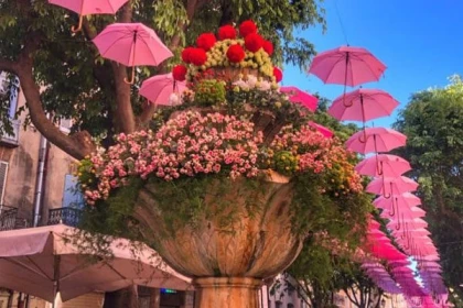 EXPO ROSE in Grasse - Bus excursion - Expérience Côte d'Azur