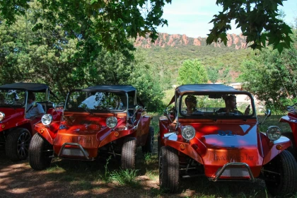 Buggy cannes
