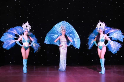 Cabaret day at Domaine du Billardier - Expérience Côte d'Azur