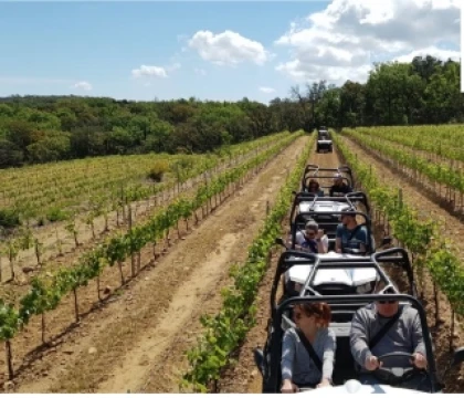 Land & Sea Day in Saint-Tropez: adventure, relaxation, and team building - Expérience Côte d'Azur