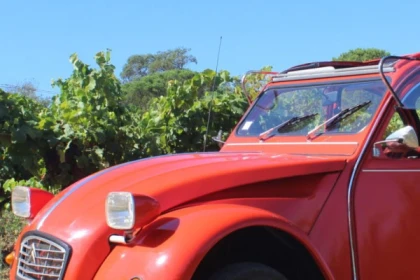 Full Day Vintage Wine Tour, Gulf of Saint-Tropez - Expérience Côte d'Azur