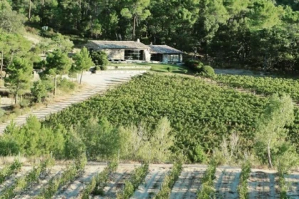 Full day wine tour in the vineyards of Bormes Les Mimosas - Expérience Côte d'Azur