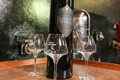 Full day wine tour in the vineyards of Bormes Les Mimosas - Expérience Côte d'Azur