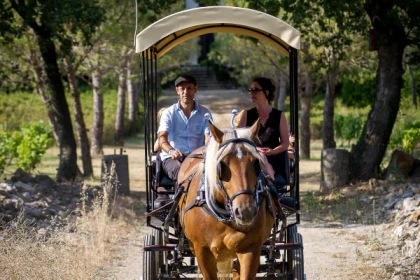 The carriage ride - Expérience Côte d'Azur