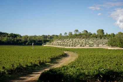 The carriage ride - Expérience Côte d'Azur