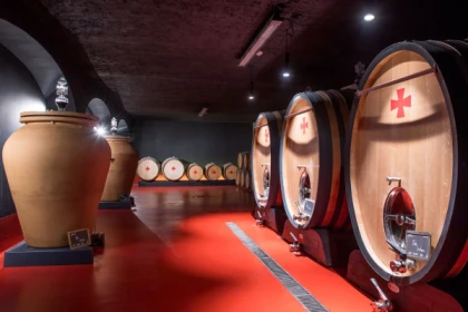 Guided tour of the cellars - Expérience Côte d'Azur