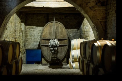 Guided tour of the cellars - Expérience Côte d'Azur
