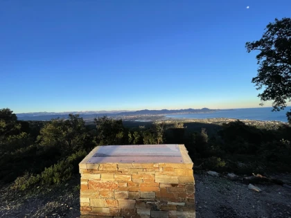 The mimosa at the heart of the Petites Maures - Expérience Côte d'Azur
