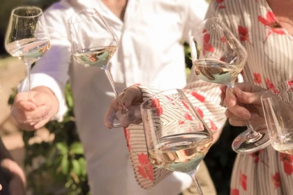 Tasting Rosé and food at our country Cabanon - Private Group - Expérience Côte d'Azur