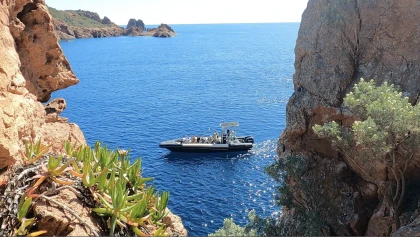 Exciting Calanque Boat tour in Frejus to Discover the Estérel Coast - Expérience Côte d'Azur