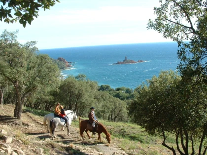 Horse Riding in Saint Raphael: an intermediate Ride to Ferrières with Sea Views - Expérience Côte d'Azur