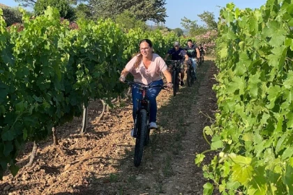 Bike rental (VTTAE) + wine tasting - Expérience Côte d'Azur