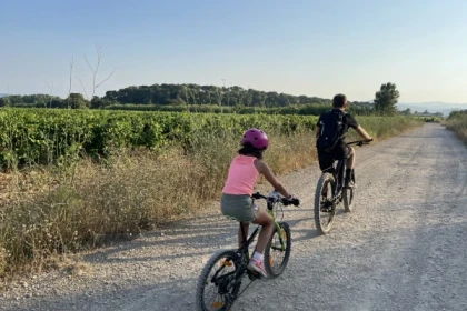 Bike rental (VTTAE) + wine tasting - Expérience Côte d'Azur