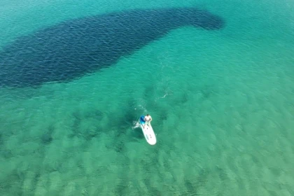 Individual paddle rental - Plage de Pampelonne Saint-Tropez - Expérience Côte d'Azur