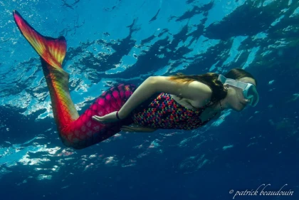 Nager comme une sirene en mer Fréjus