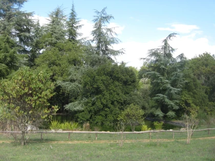 Aoubré Park on sale – Experience a nature adventure with family in Var - Expérience Côte d'Azur