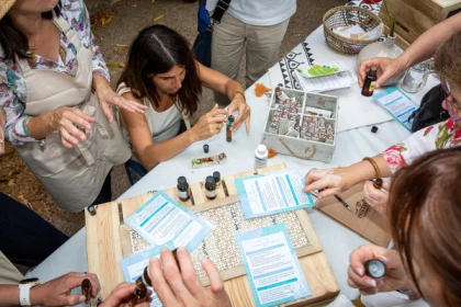 Cap Gaia : Your CSR discovery path - Expérience Côte d'Azur