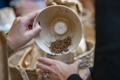 Cap Gaia : Your CSR discovery path - Expérience Côte d'Azur