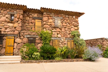 Cheese & Wine tasting break overlooking the vineyards - EVG/JF special - Expérience Côte d'Azur