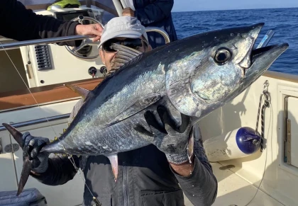 Big Game Fishing Offshore - Fréjus - Expérience Côte d'Azur