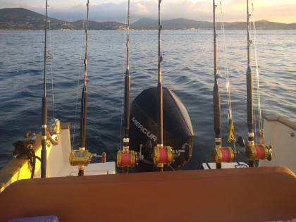 Big Game Fishing Offshore - Fréjus - Expérience Côte d'Azur