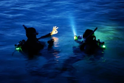 Night Dive  - Fréjus - Expérience Côte d'Azur