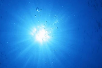 Relaxation dive and stress management - Expérience Côte d'Azur