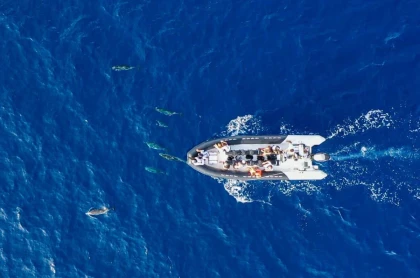 Semi-rigid privatization: exploration of the secret coves of the French Riviera - Expérience Côte d'Azur