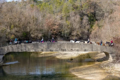 Pony/Horse Riding Introduction with Lake View - Expérience Côte d'Azur