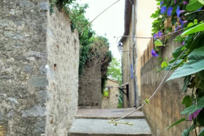 Pays de Fayence discovery hike and edible plants - Expérience Côte d'Azur