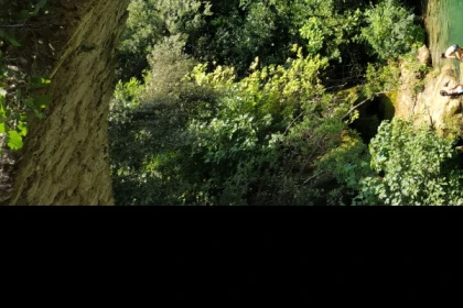 Pays de Fayence discovery hike and edible plants - Expérience Côte d'Azur