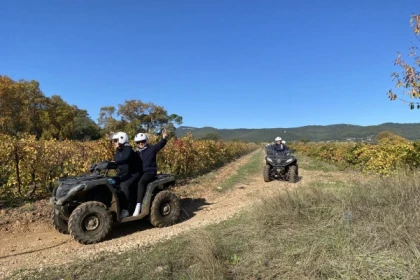 Off-Road Quad Tour in Puget-Ville, Var - Expérience Côte d'Azur