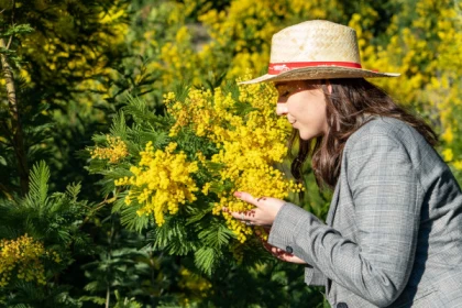 Randonnée Mimosa - app.name