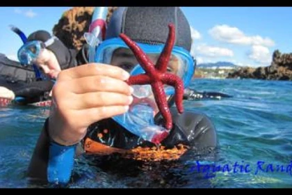 Palmed hiking - Fréjus - Expérience Côte d'Azur