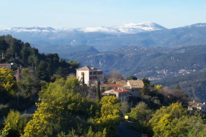 Route du Mimosa - Excursion en autocar - app.name