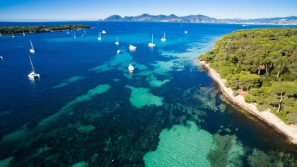 Saint-Raphaël: Snorkeling Day Esterel & Lérins Islands - Expérience Côte d'Azur