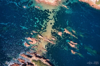 Saint-Raphaël: Guided Snorkeling at Île des Vieilles - Anthéor - Expérience Côte d'Azur