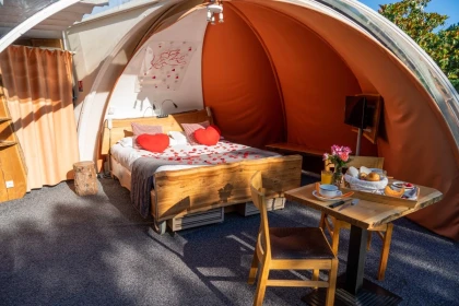 Séjour Bulle romantique sous les étoiles - Roquebrune/Argens - app.name