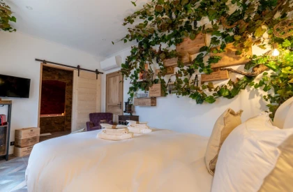 SPA and cocooning stay at the bastide - Roquebrune-sur-Argens - Expérience Côte d'Azur