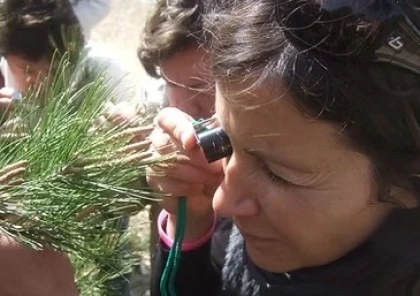 Nature school outing: Let's go foraging! - Expérience Côte d'Azur