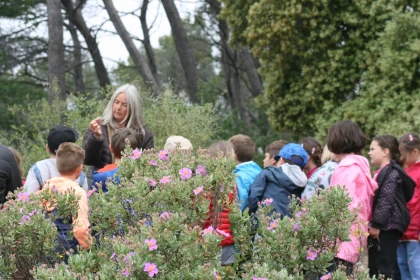 School Nature Outing: The Story of Flowers! - Expérience Côte d'Azur